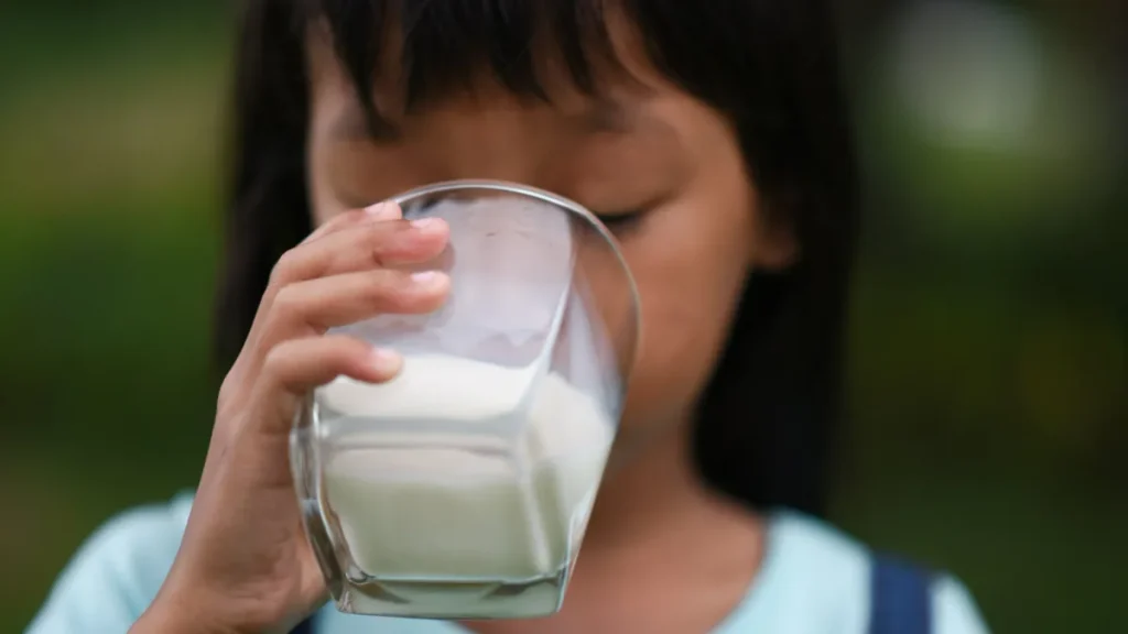 Niña bebe un vaso de leche, alimento que contiene lactosa y puede causar intolerancia a la lactosa